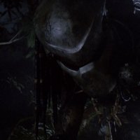 Predator