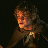 The Lord of the Rings: The Fellowship of the Ring