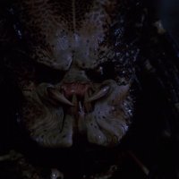 Predator