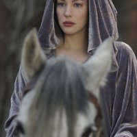 The Lord of the Rings: The Return of the King