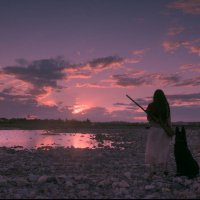 Birdshot