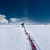 Fargo