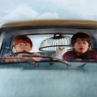 Harry Potter and the Chamber of Secrets
