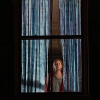 The Woman in the Window