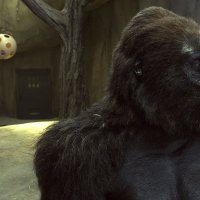The Zookeeper