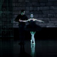 Black Swan