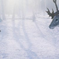 A Boy Called Christmas