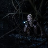 Crawl