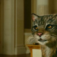 The Golden Compass