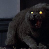 Pet Sematary