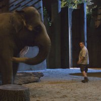 The Zookeeper