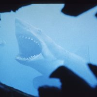 Jaws