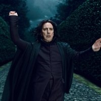 Harry Potter and the Deathly Hallows: Part I
