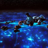 Life of Pi