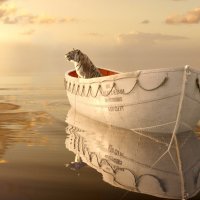 Life of Pi