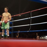The Fighter