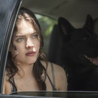 The Leftovers