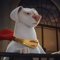 DC League of Super-Pets