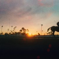 Jockey