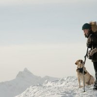 The Mountain Between Us