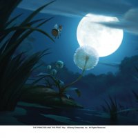 Tiana y el sapo