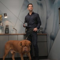 Turner & Hooch