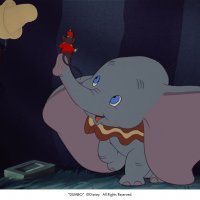 Dumbo