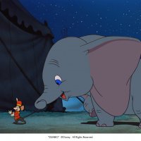 Dumbo