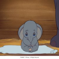 Dumbo