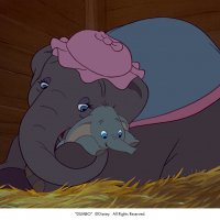 Dumbo