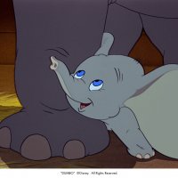 Dumbo