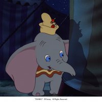 Dumbo