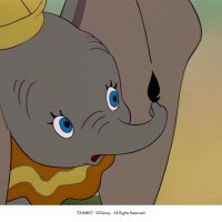 Dumbo