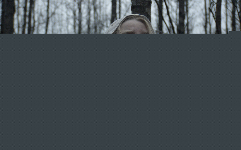 The VVitch: A New-England Folktale