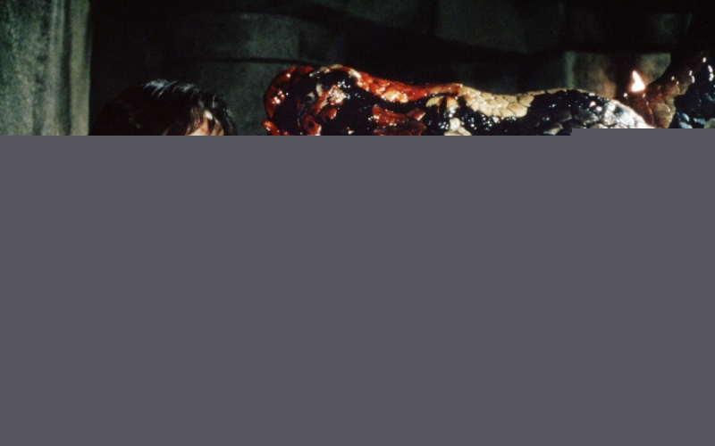 Conan the Barbarian
