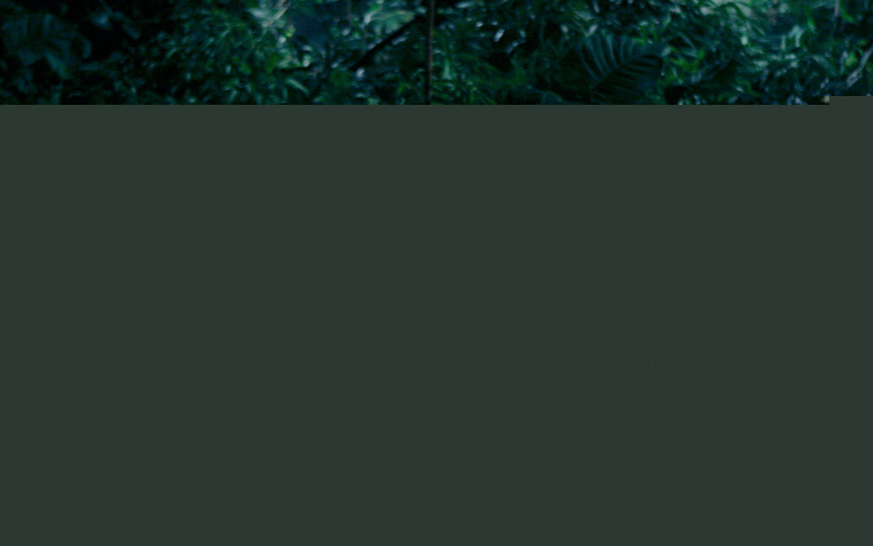 Lost