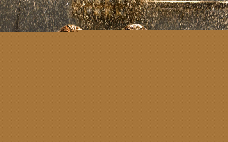 Resident Evil: Afterlife