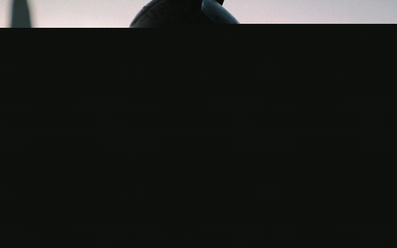 The Batman