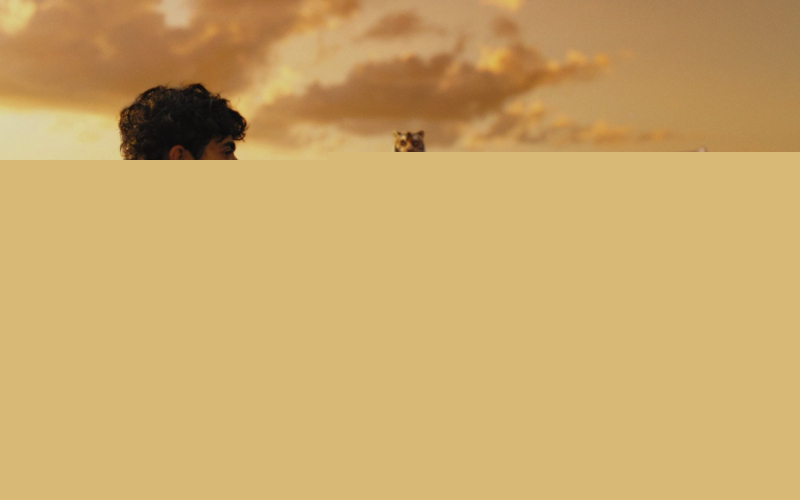 Life of Pi