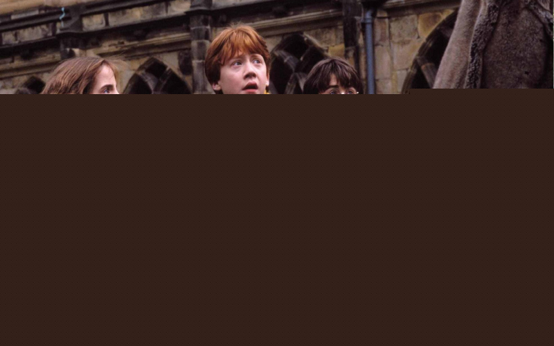 Harry Potter and the Chamber of Secrets