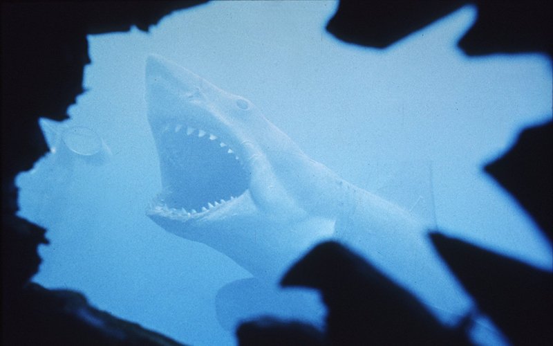 Jaws
