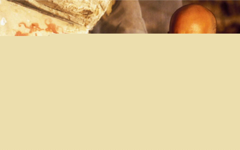 Twelve Monkeys