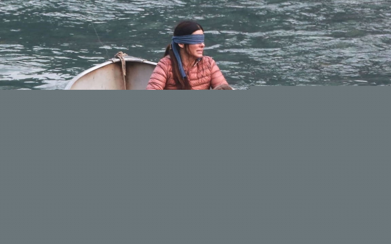 Bird Box