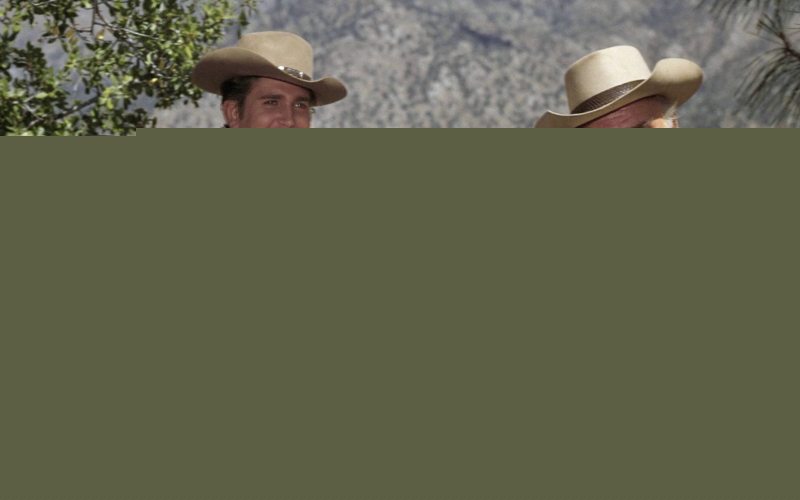 Bonanza