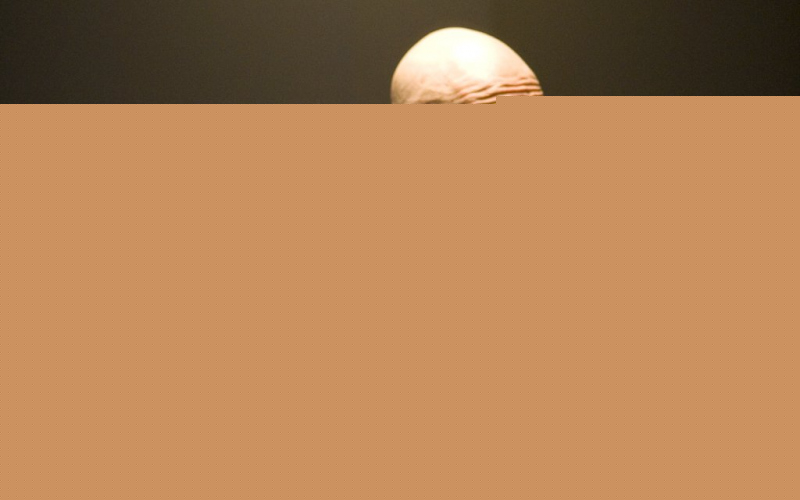 Bronson