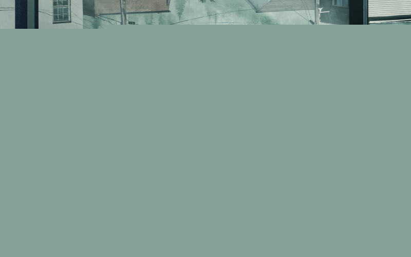 The Mist