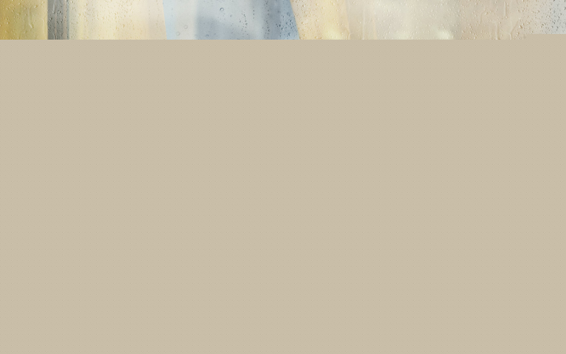 The Woman in the Window