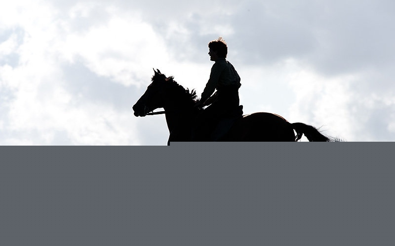War Horse